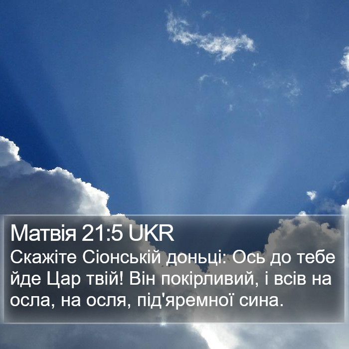 Матвія 21:5 UKR Bible Study