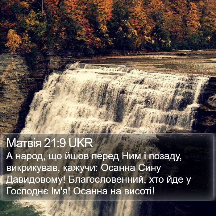 Матвія 21:9 UKR Bible Study