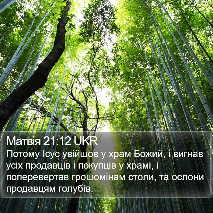 Матвія 21:12 UKR Bible Study