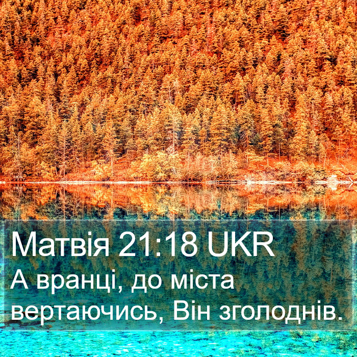 Матвія 21:18 UKR Bible Study