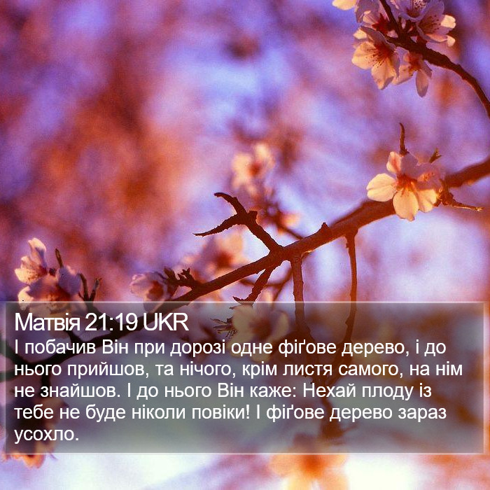 Матвія 21:19 UKR Bible Study