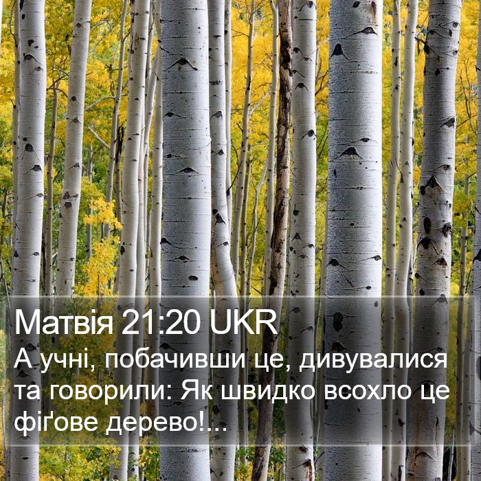 Матвія 21:20 UKR Bible Study