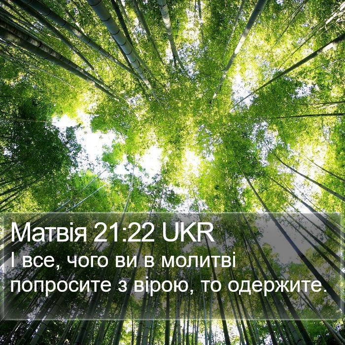 Матвія 21:22 UKR Bible Study