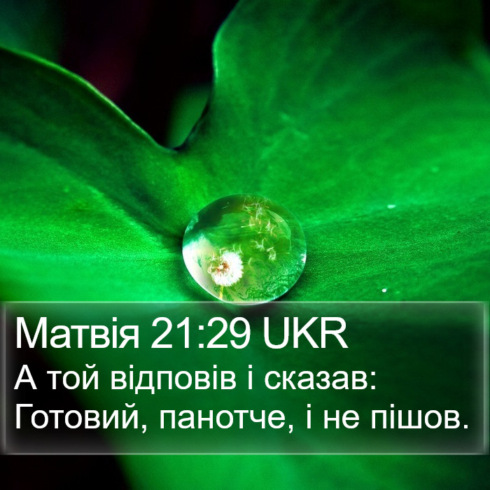 Матвія 21:29 UKR Bible Study