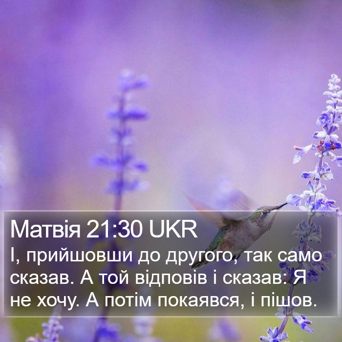 Матвія 21:30 UKR Bible Study