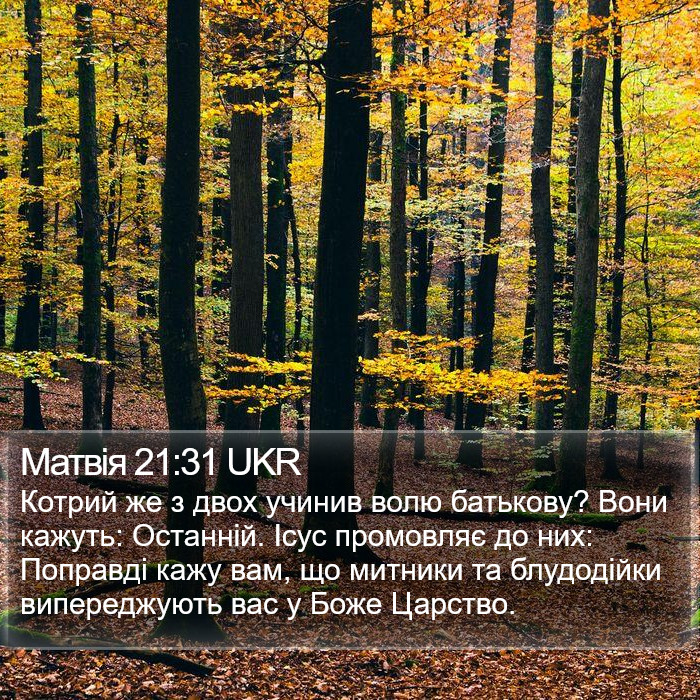 Матвія 21:31 UKR Bible Study