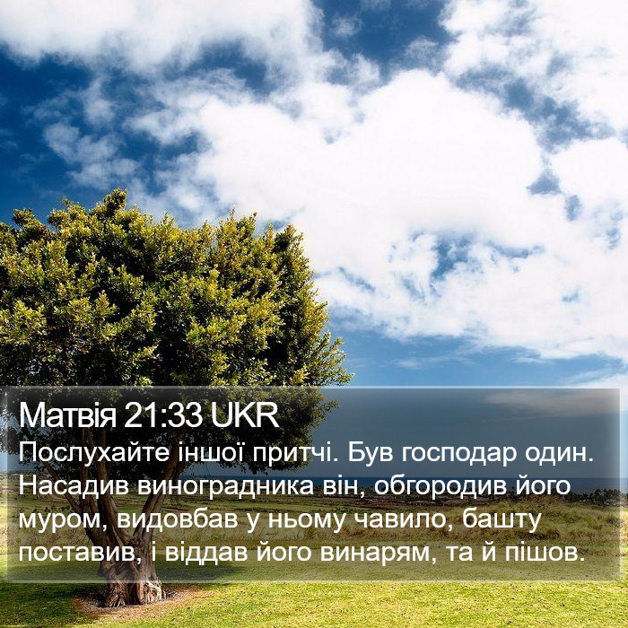 Матвія 21:33 UKR Bible Study