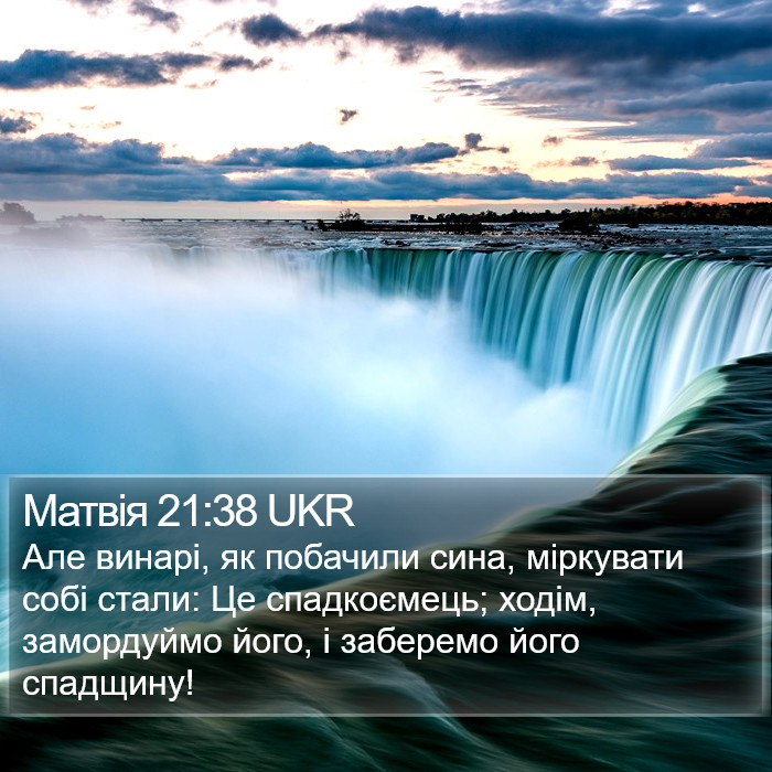 Матвія 21:38 UKR Bible Study