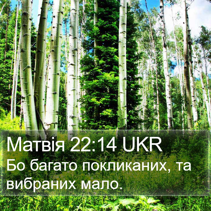 Матвія 22:14 UKR Bible Study