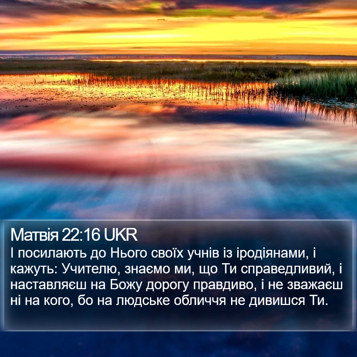 Матвія 22:16 UKR Bible Study