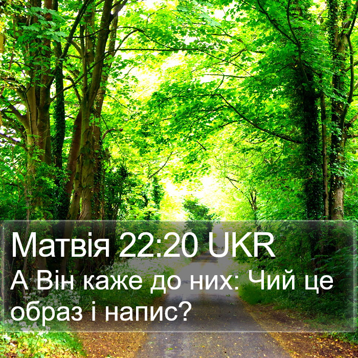 Матвія 22:20 UKR Bible Study