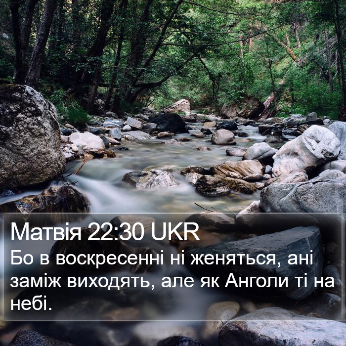 Матвія 22:30 UKR Bible Study