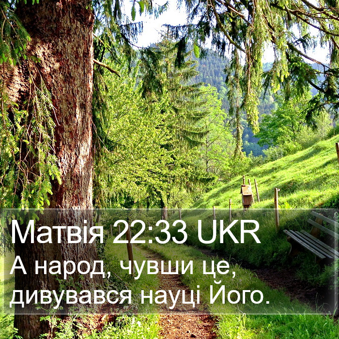 Матвія 22:33 UKR Bible Study