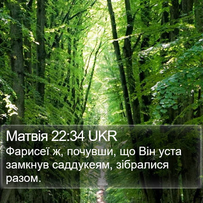 Матвія 22:34 UKR Bible Study