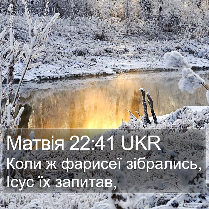 Матвія 22:41 UKR Bible Study