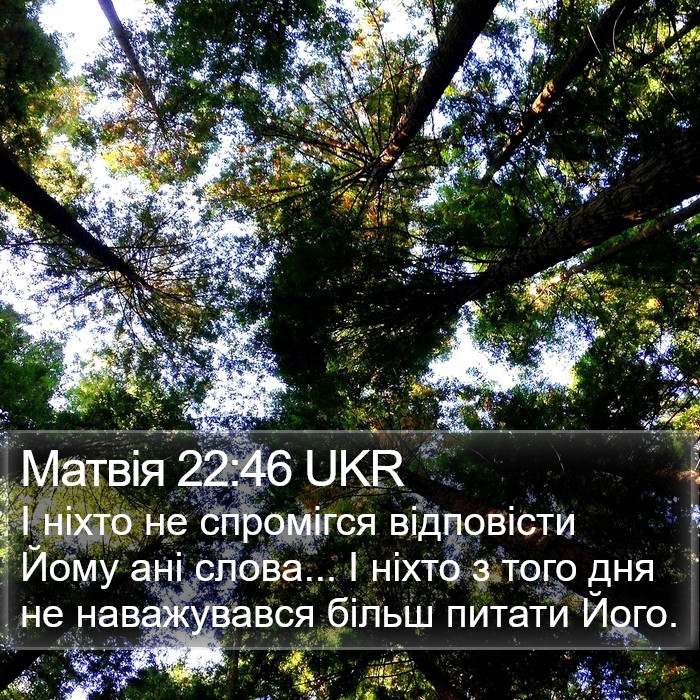 Матвія 22:46 UKR Bible Study