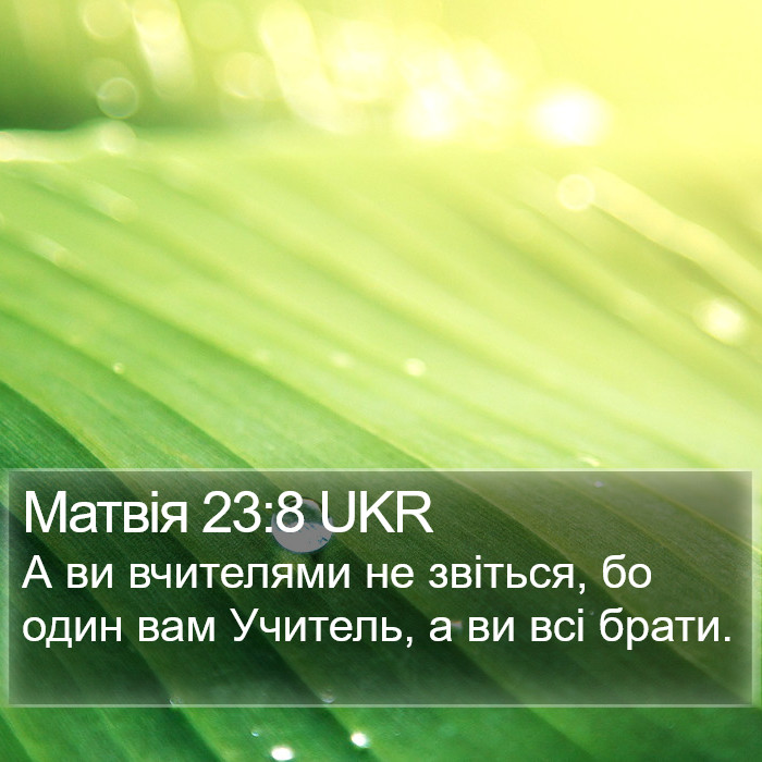 Матвія 23:8 UKR Bible Study