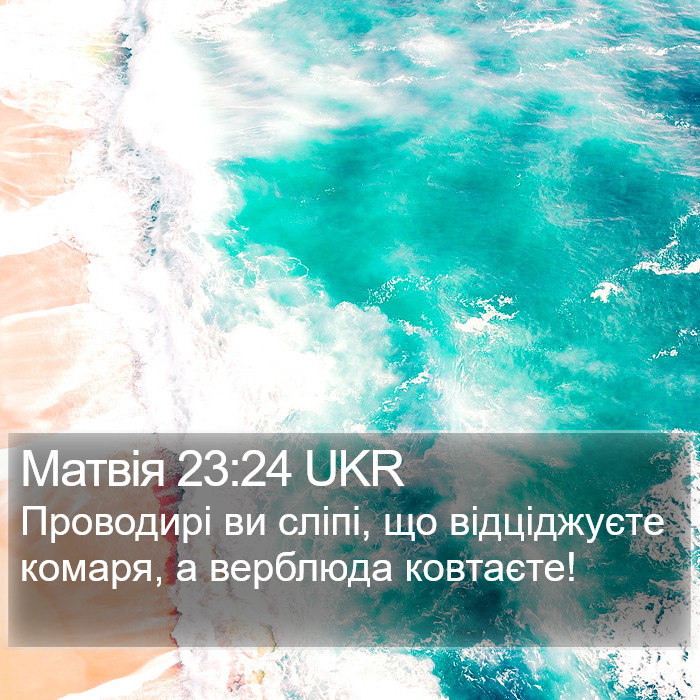 Матвія 23:24 UKR Bible Study