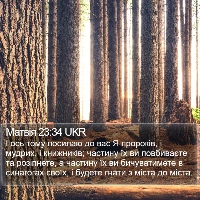 Матвія 23:34 UKR Bible Study