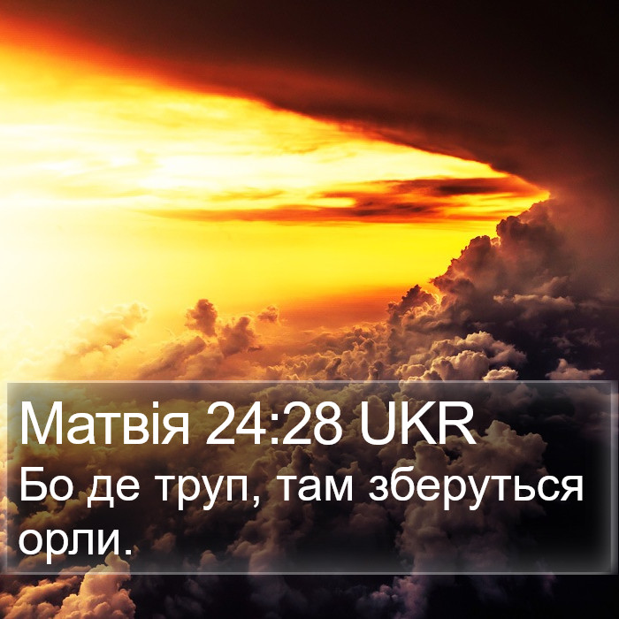 Матвія 24:28 UKR Bible Study