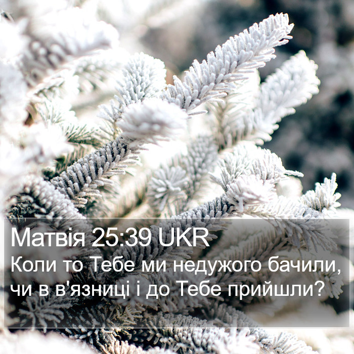 Матвія 25:39 UKR Bible Study