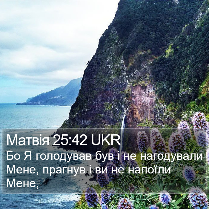 Матвія 25:42 UKR Bible Study