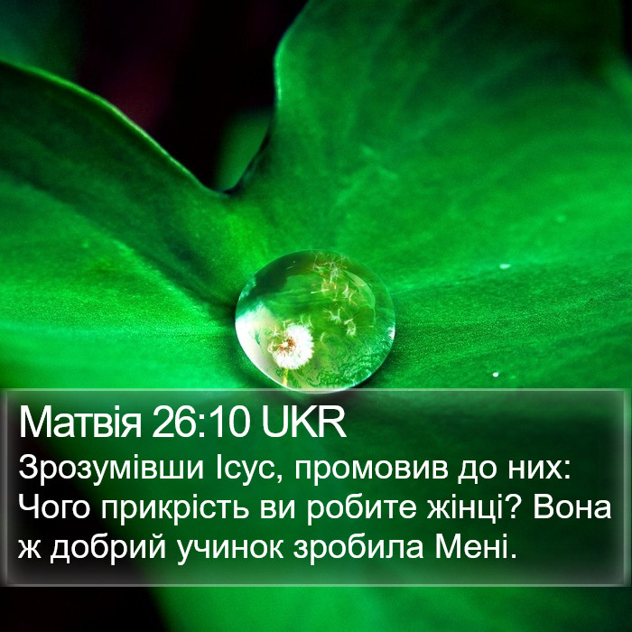 Матвія 26:10 UKR Bible Study