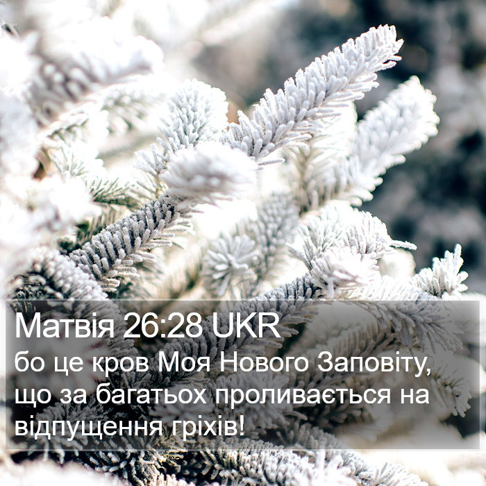 Матвія 26:28 UKR Bible Study