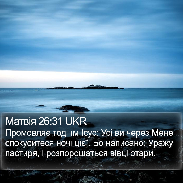 Матвія 26:31 UKR Bible Study