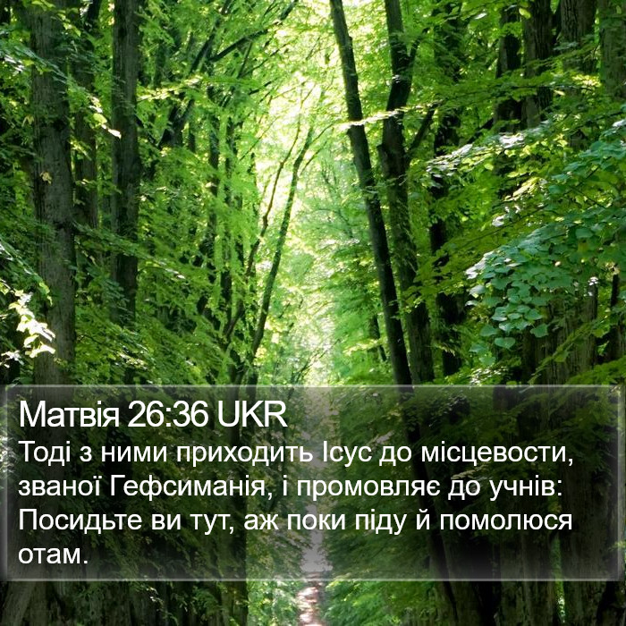 Матвія 26:36 UKR Bible Study