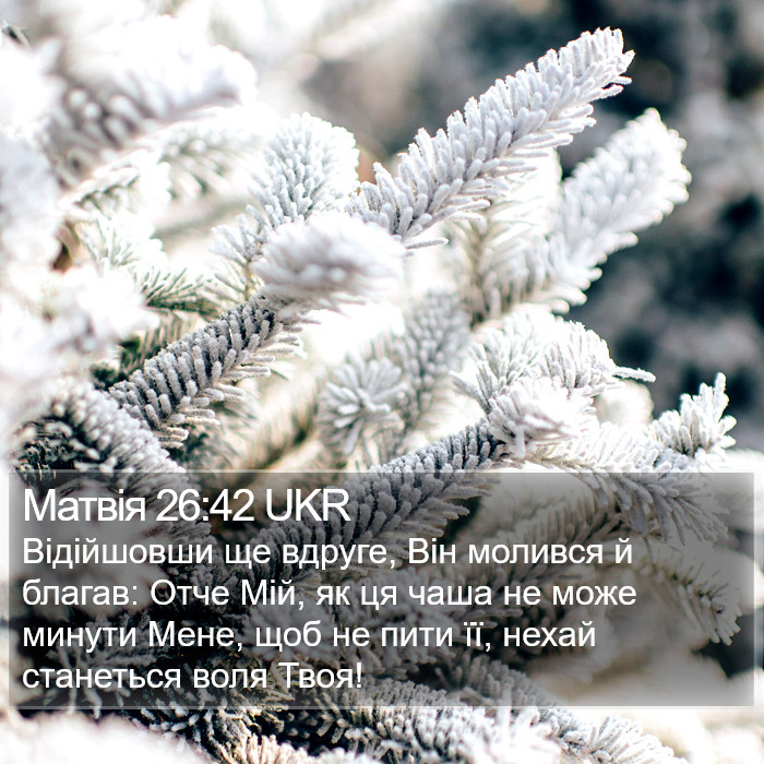 Матвія 26:42 UKR Bible Study