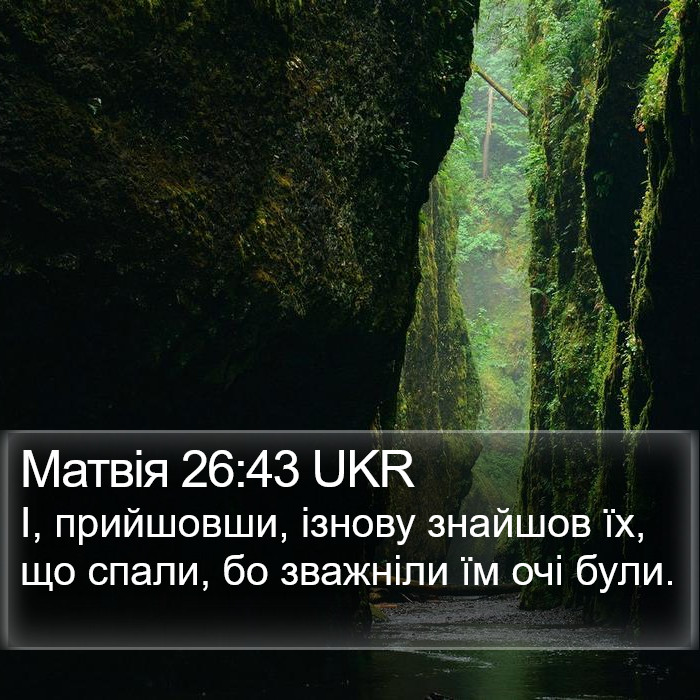 Матвія 26:43 UKR Bible Study