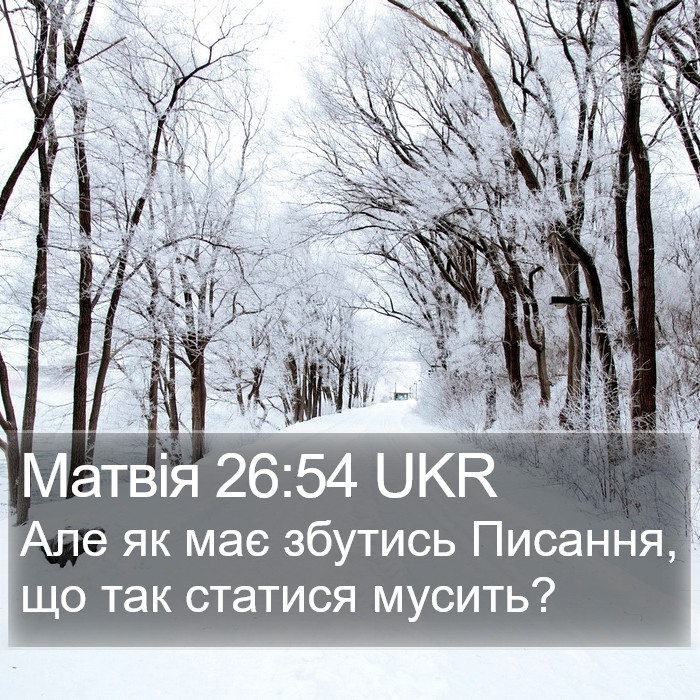 Матвія 26:54 UKR Bible Study