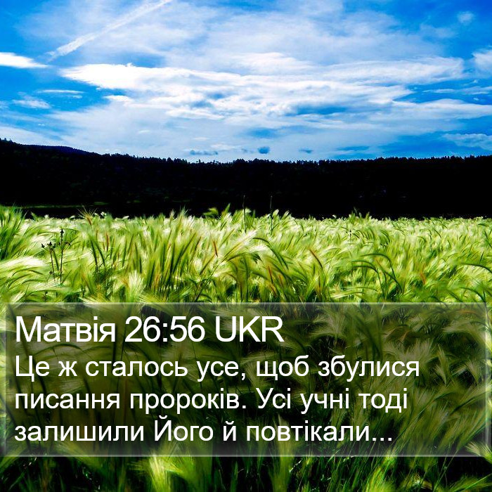 Матвія 26:56 UKR Bible Study