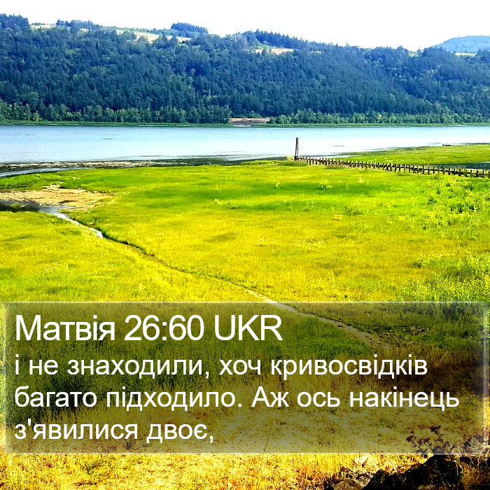 Матвія 26:60 UKR Bible Study