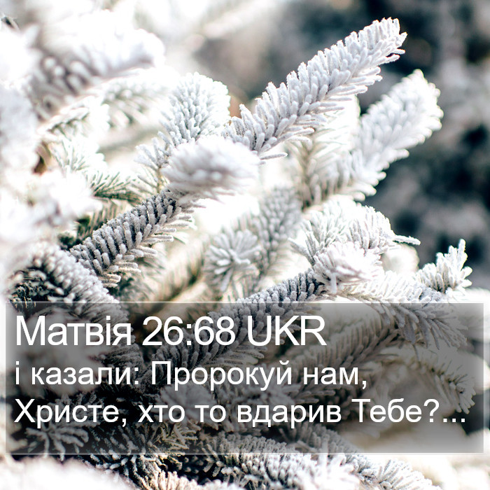 Матвія 26:68 UKR Bible Study
