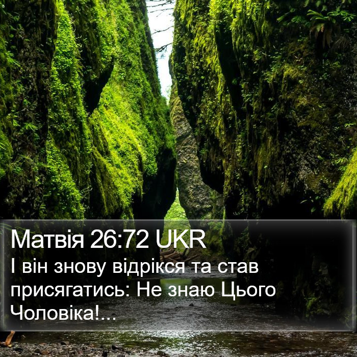 Матвія 26:72 UKR Bible Study