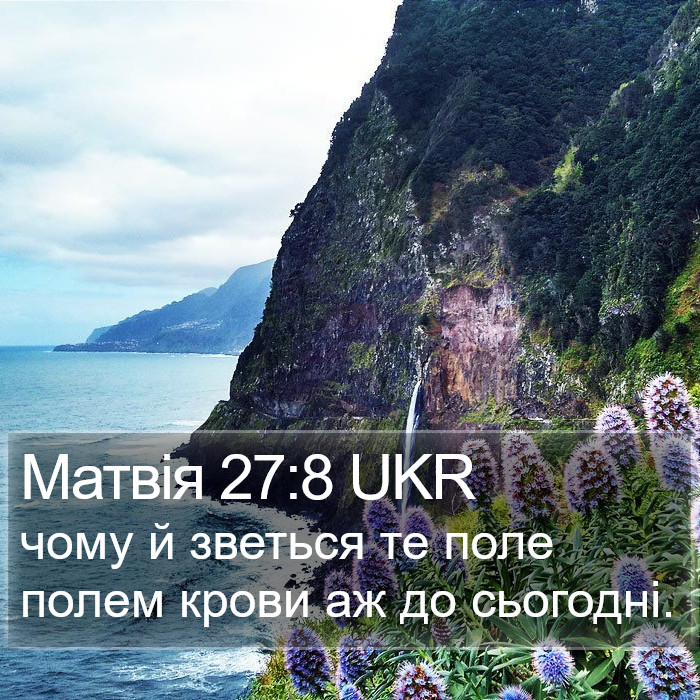 Матвія 27:8 UKR Bible Study