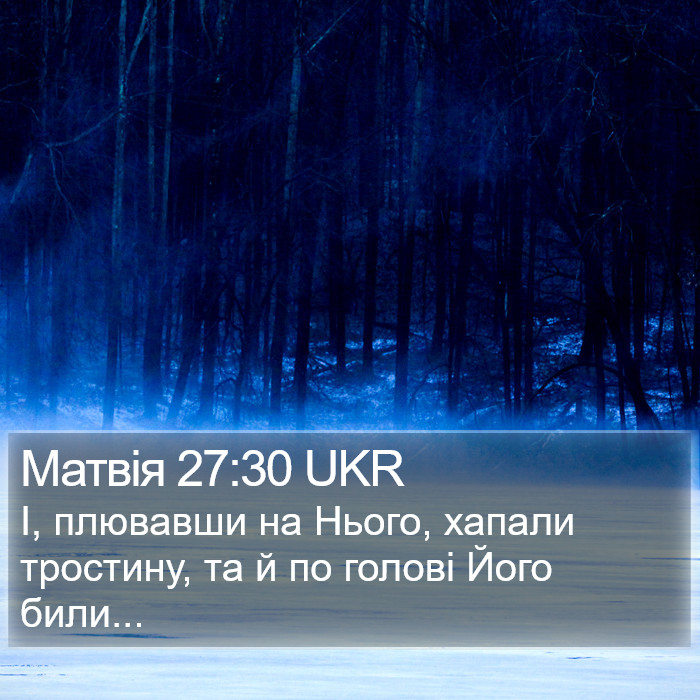 Матвія 27:30 UKR Bible Study