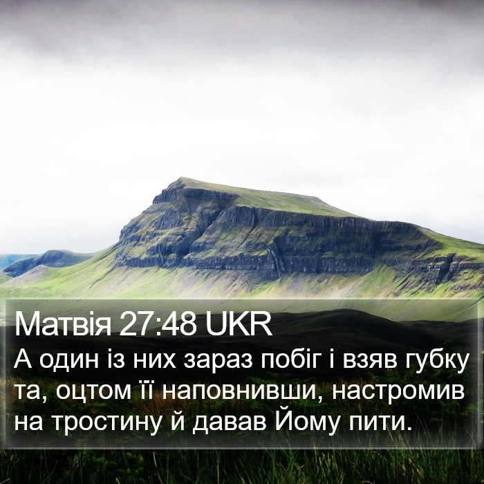 Матвія 27:48 UKR Bible Study