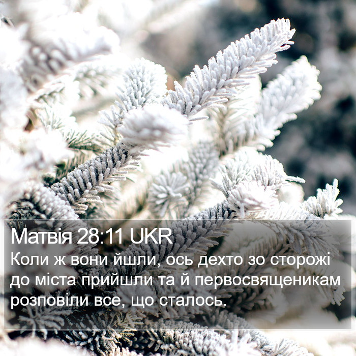 Матвія 28:11 UKR Bible Study