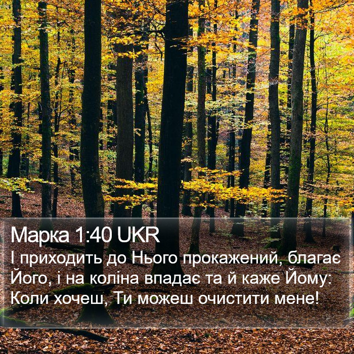 Марка 1:40 UKR Bible Study