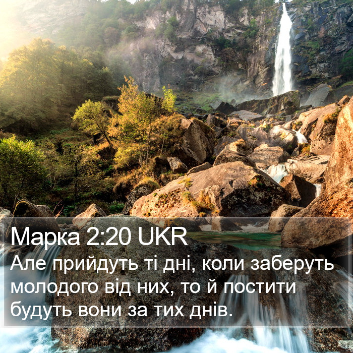 Марка 2:20 UKR Bible Study