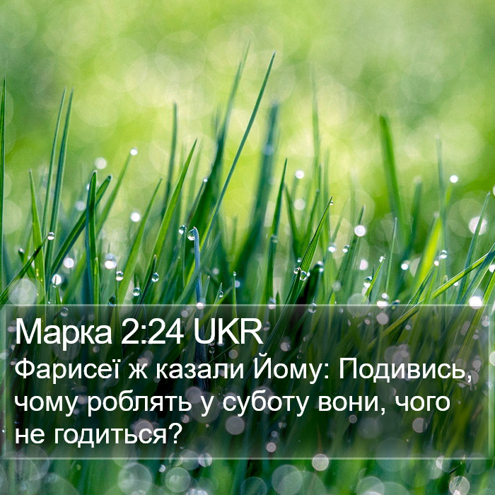 Марка 2:24 UKR Bible Study