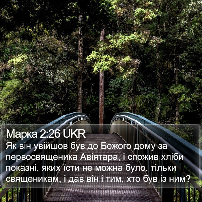 Марка 2:26 UKR Bible Study