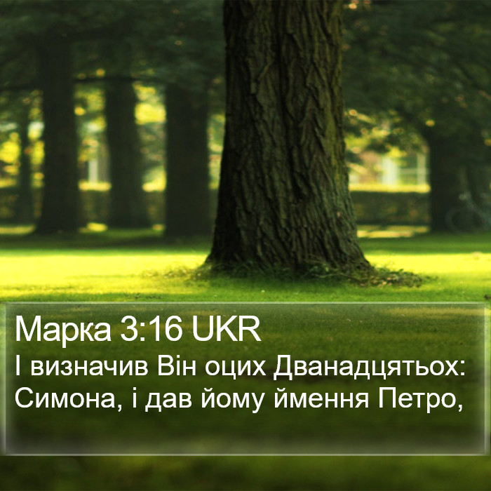 Марка 3:16 UKR Bible Study