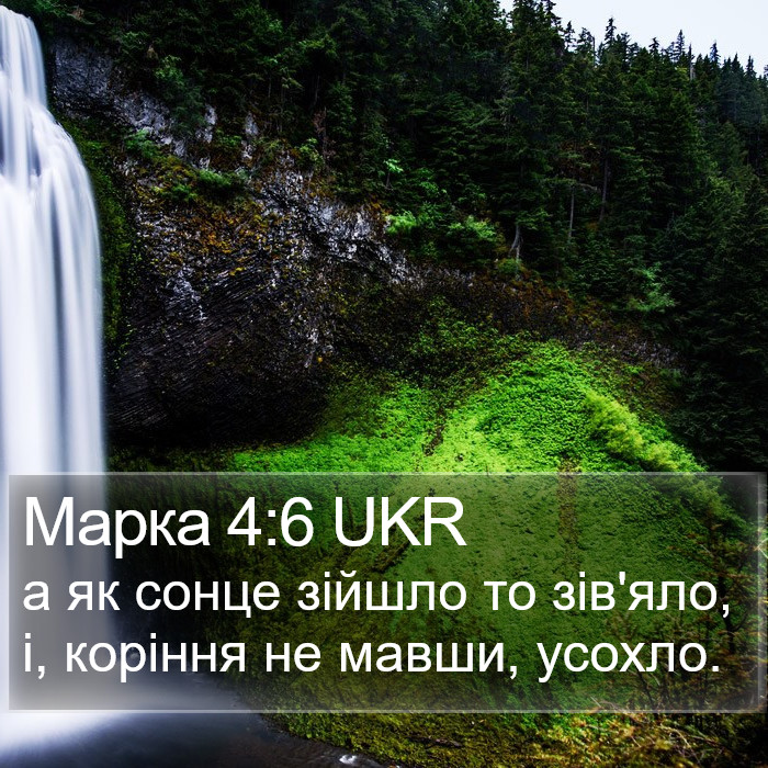 Марка 4:6 UKR Bible Study