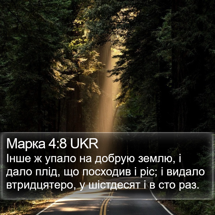 Марка 4:8 UKR Bible Study