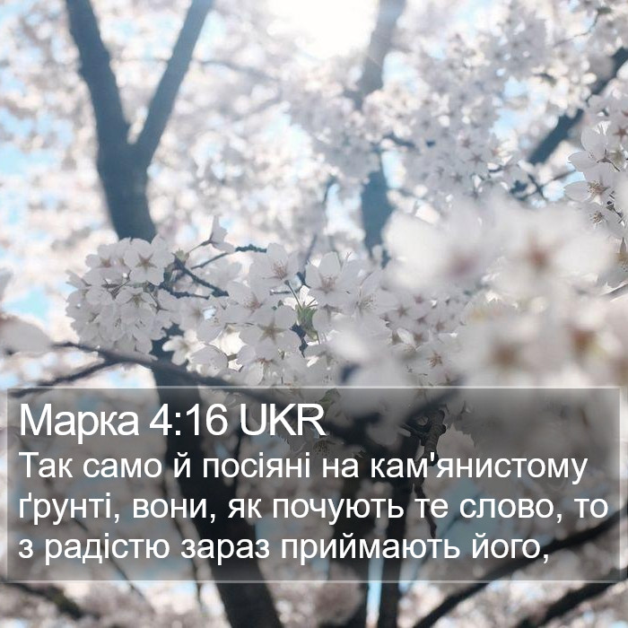 Марка 4:16 UKR Bible Study