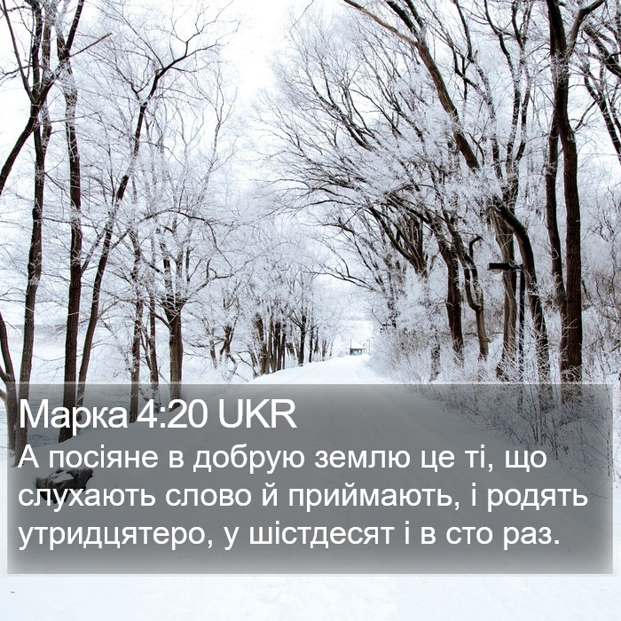 Марка 4:20 UKR Bible Study